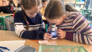 Uczennice klasy 3 d prowadzą obserwacje przez mikroskop