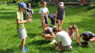 Uczniowie szukają koniczyny w trawie