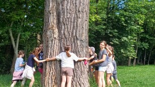 Uczniowie mierzą obwód drzewa